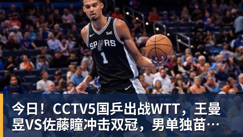 今日！CCTV5国乒出战WTT，王曼昱VS佐藤瞳冲击双冠，男单独苗周启豪PK松岛辉空